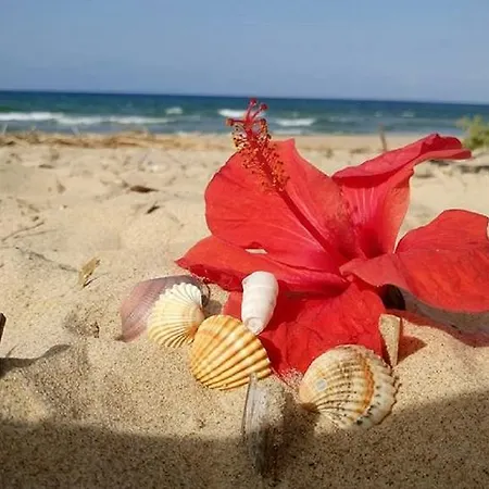Sole E Mare Casa vacanze *